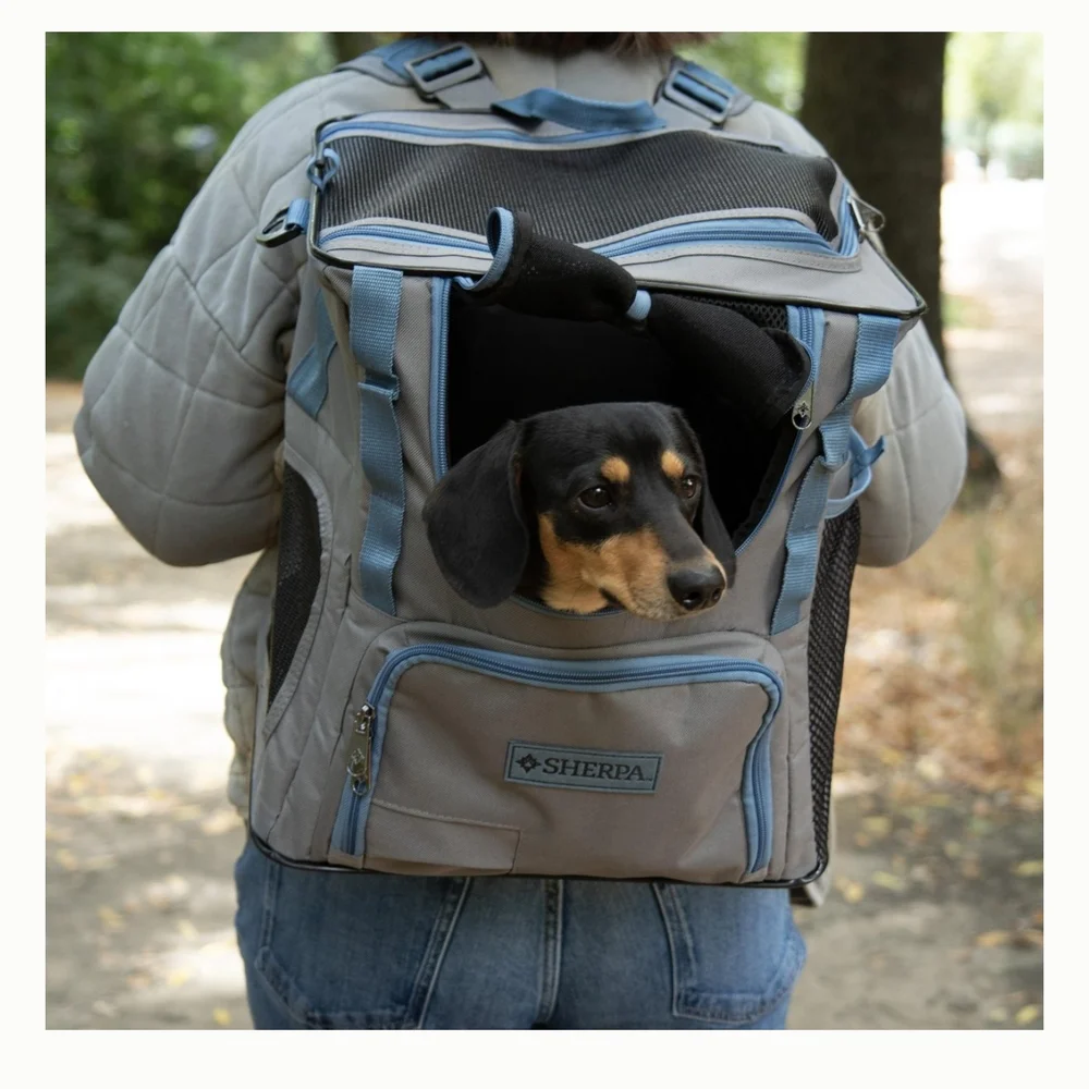 Sherpa Trek Tote Pet Carrier Backpack Gray Blue NWT Small Dog Cat Travel Bag
